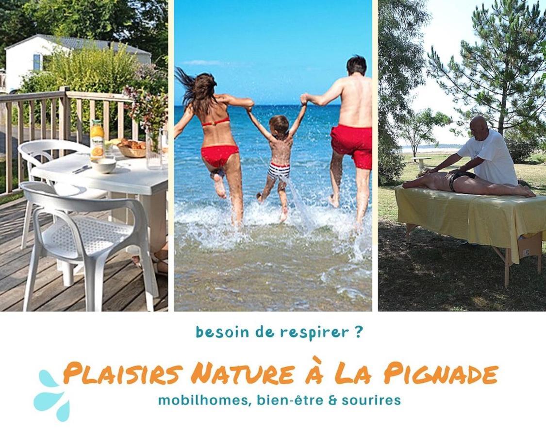 Plaisirs Nature A La Pignade * Ronce-les-Bains