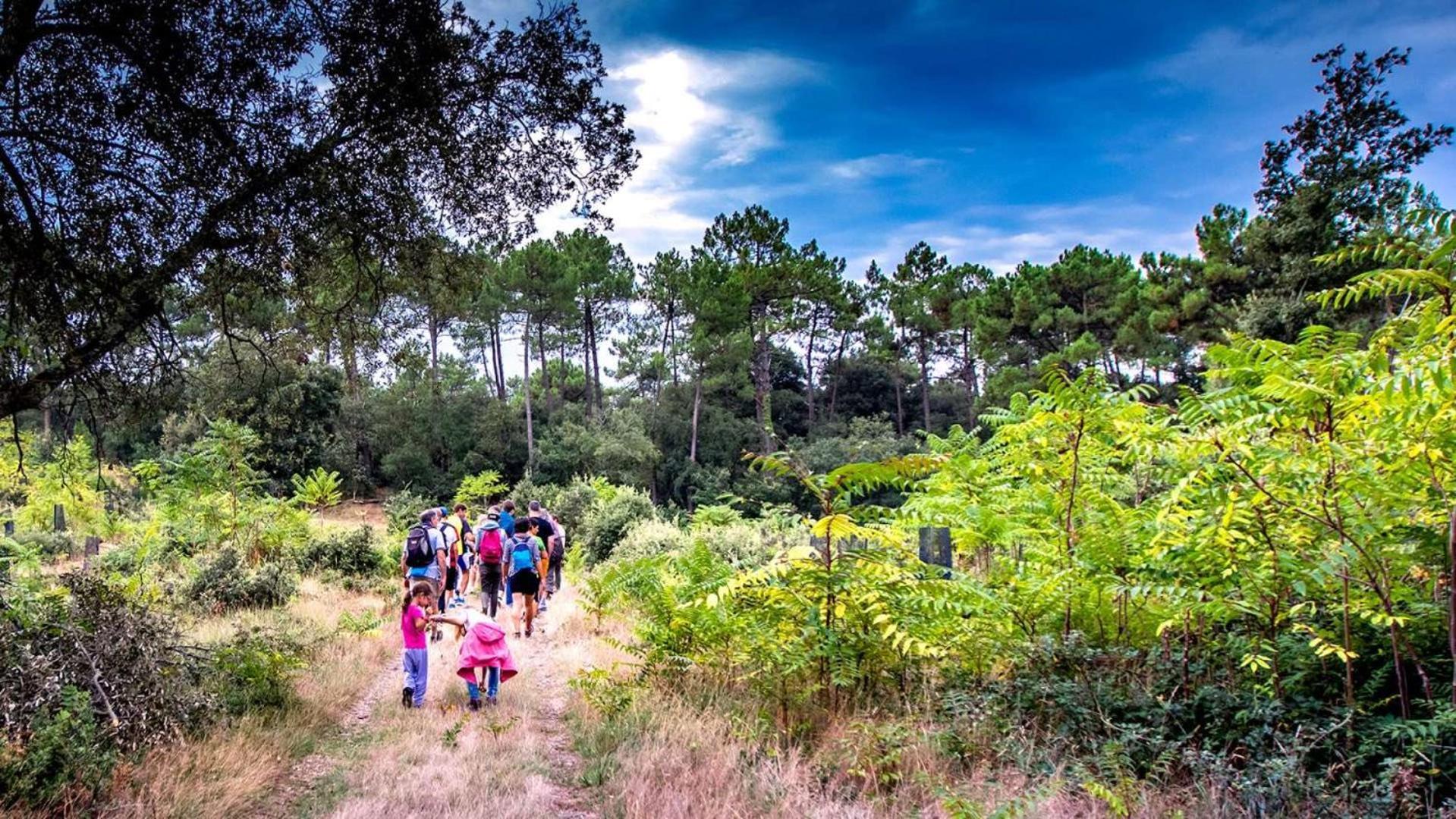 Plaisirs Nature A La Pignade Campsite *