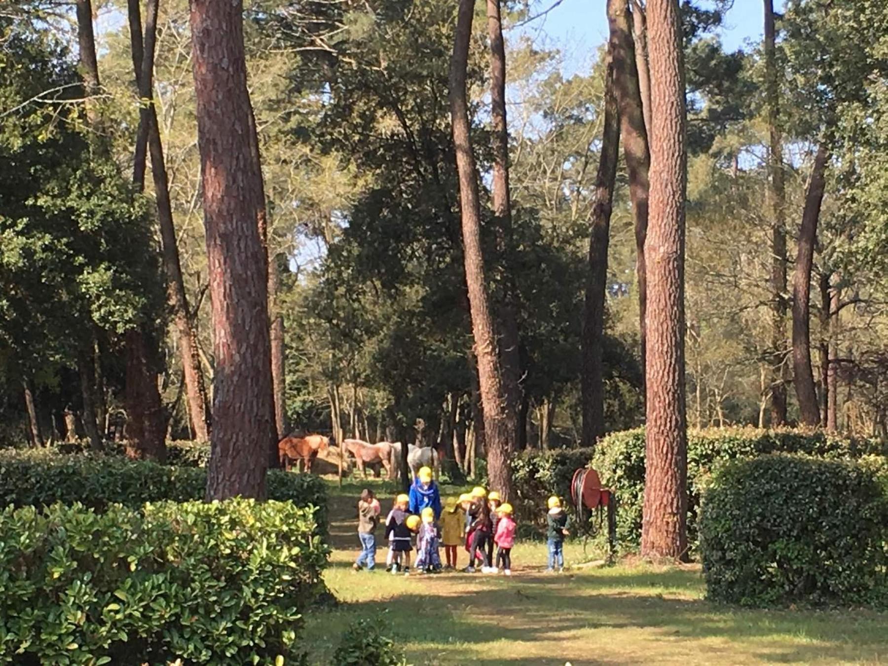 Plaisirs Nature A La Pignade Campsite Ronce-les-Bains
