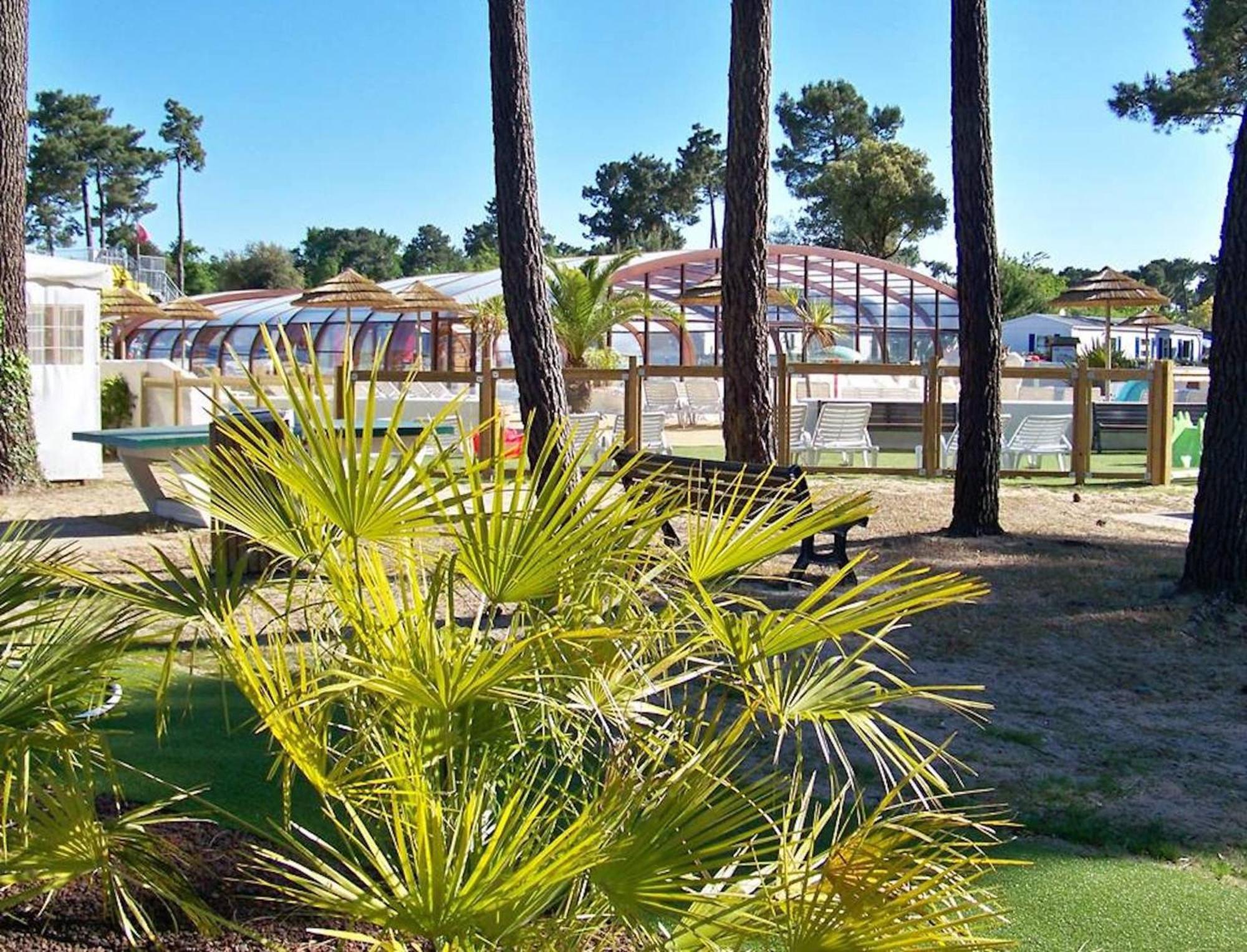 Plaisirs Nature A La Pignade Campsite Ronce-les-Bains